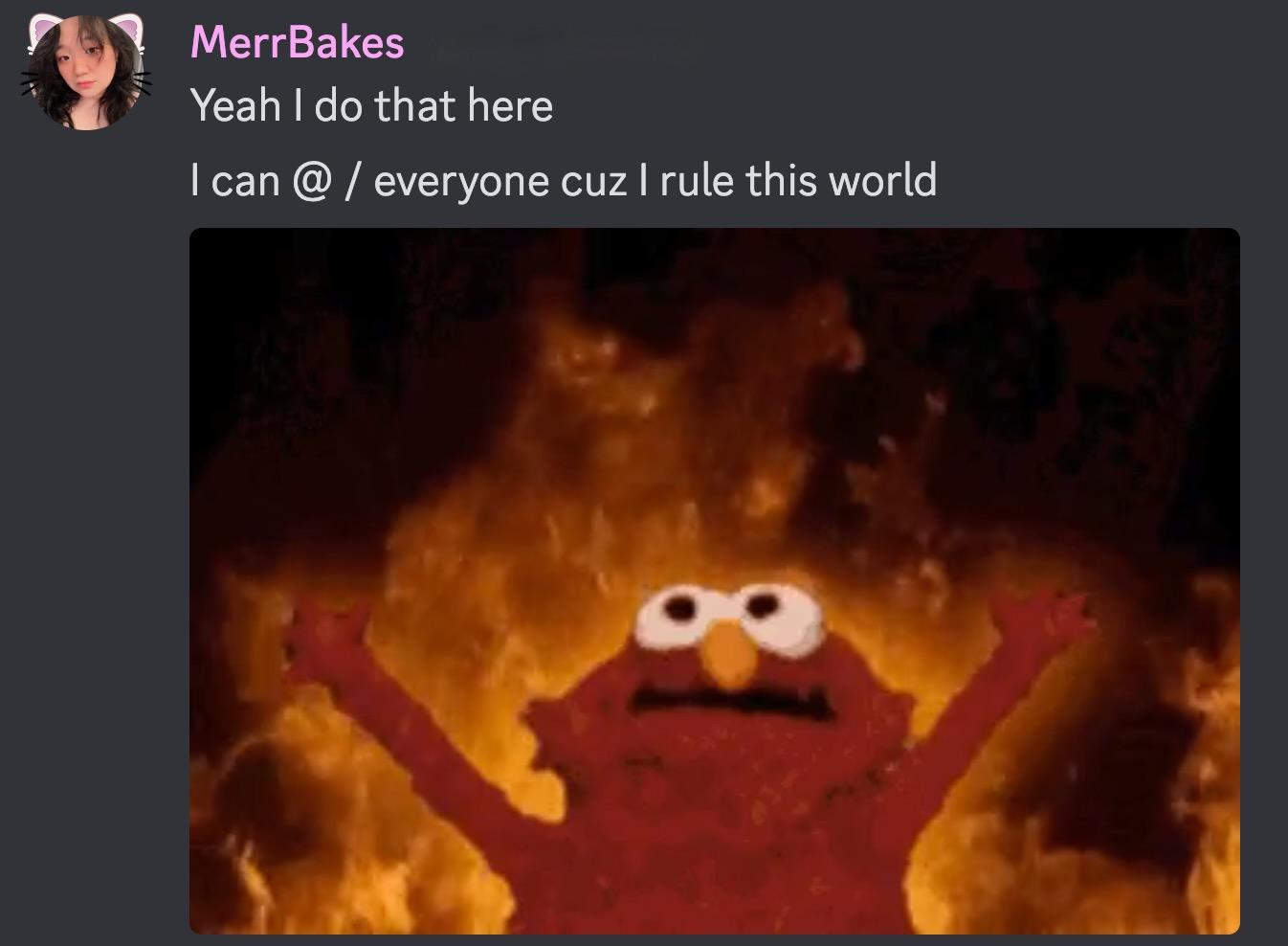 silly merr on discord